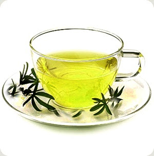 Green Tea in Healthy Diet Plan