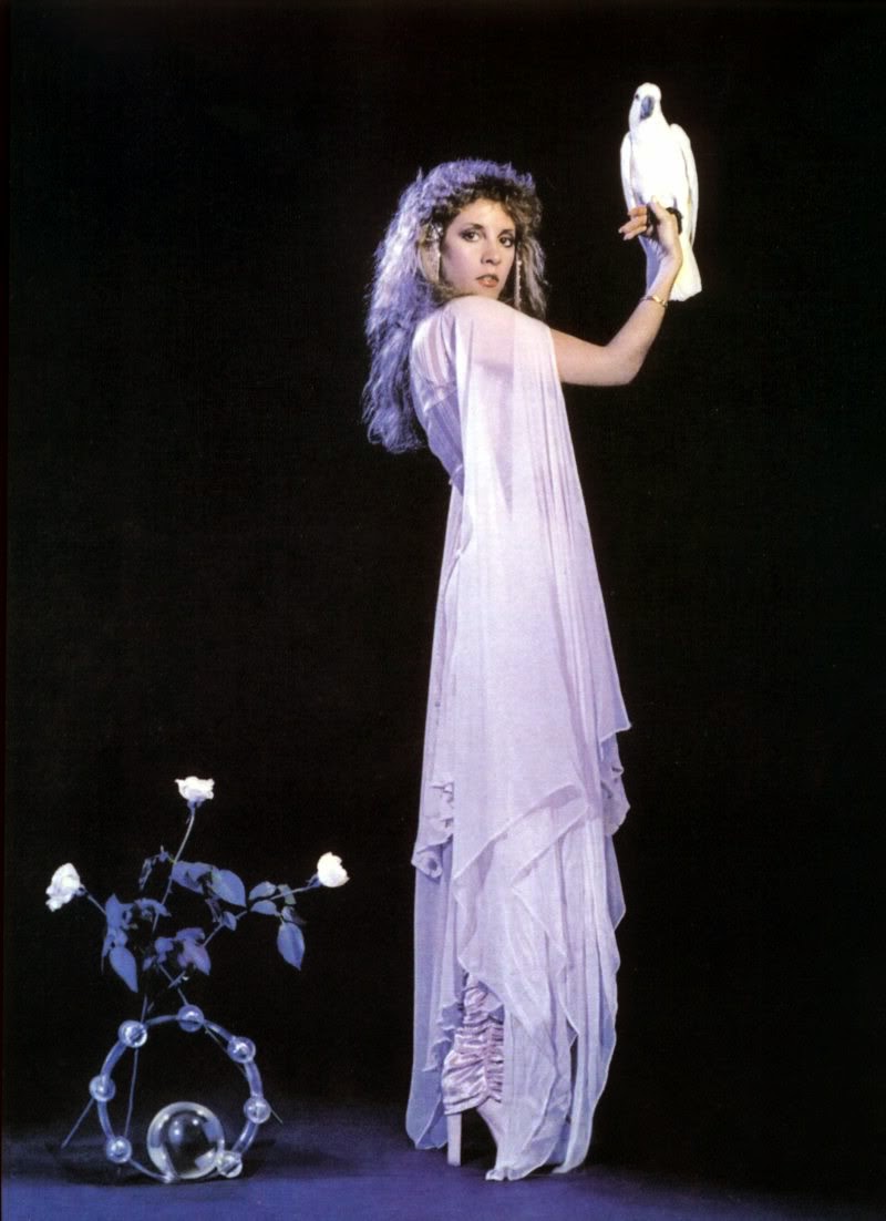 One of Sexy Women of Rock: 20 Beautiful Portraits of Stevie Nicks in ...