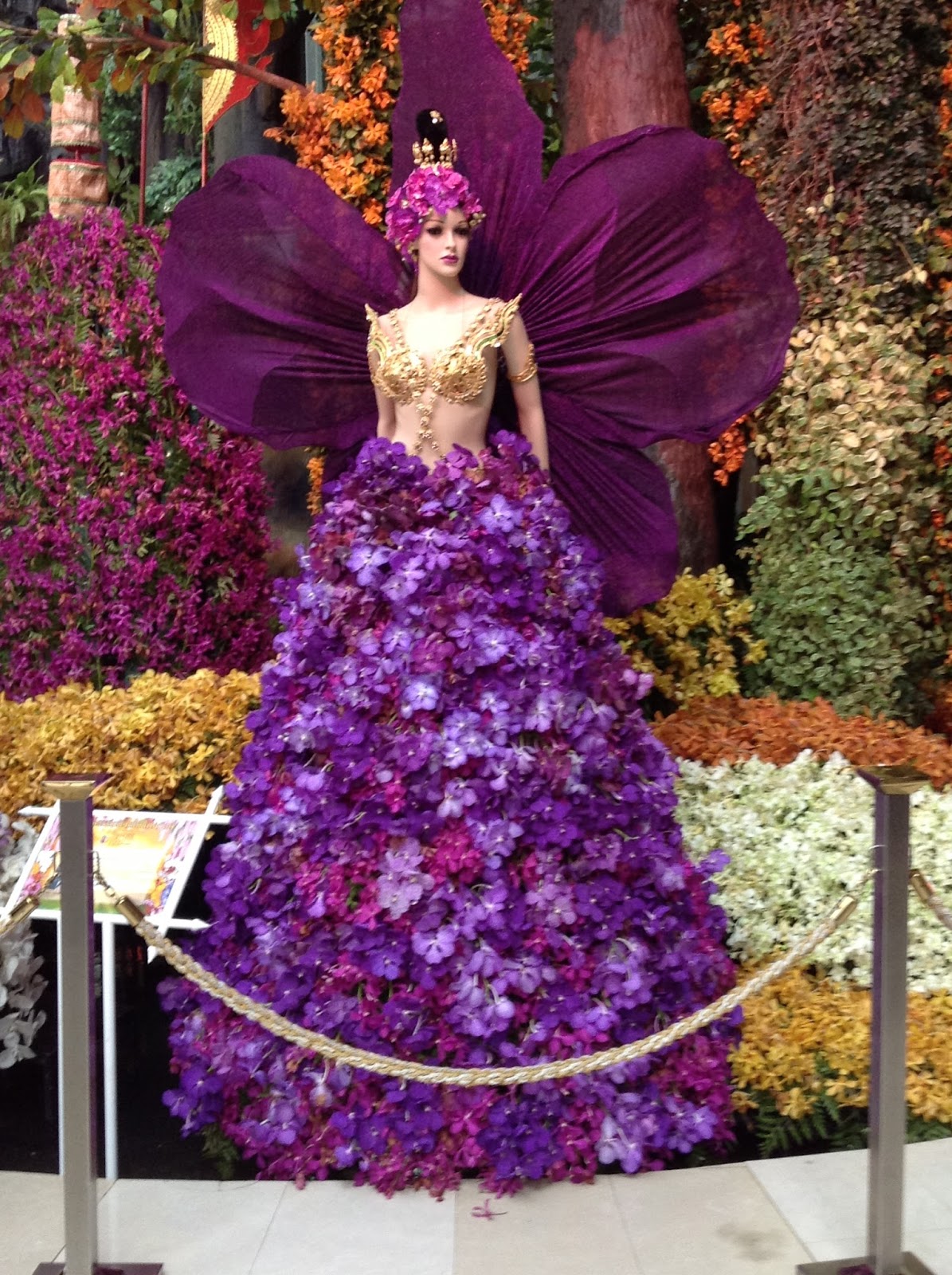 The Sowards in Thailand: Orchid Festival