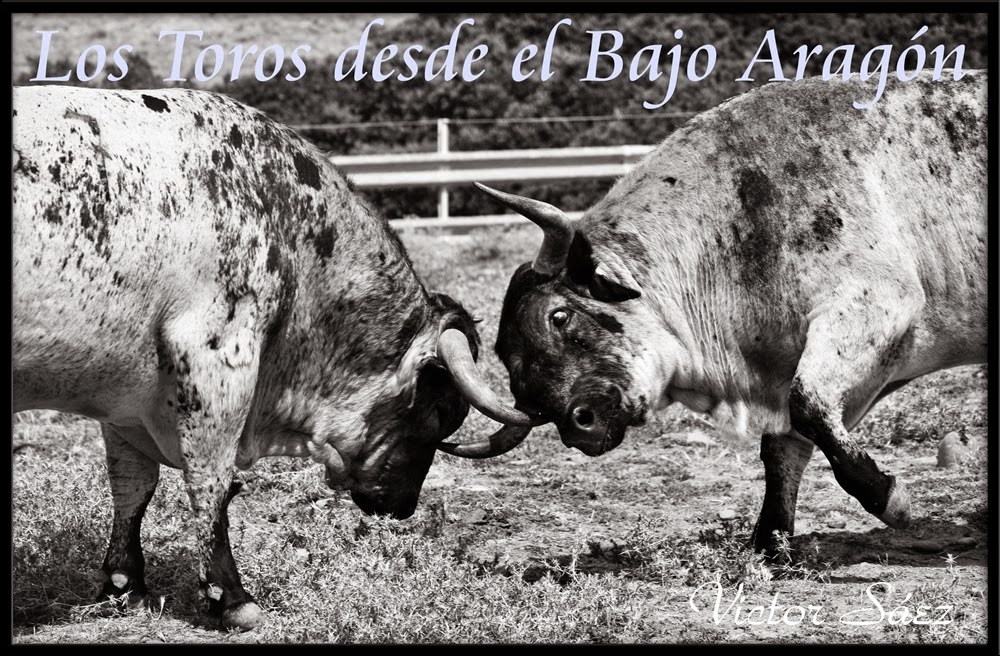 Los Toros desde el Bajo Aragón