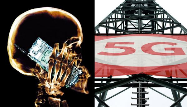 Una catástrofe global dicen los activistas sobre las redes 5G. Una catástrofe global dicen los activistas sobre las redes 5G.