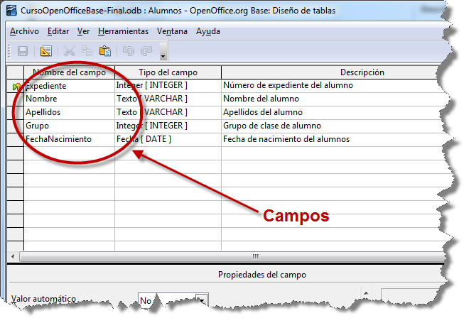 submodulo1: DIFERENCIA ENTRE CAMPO Y REGISTRO