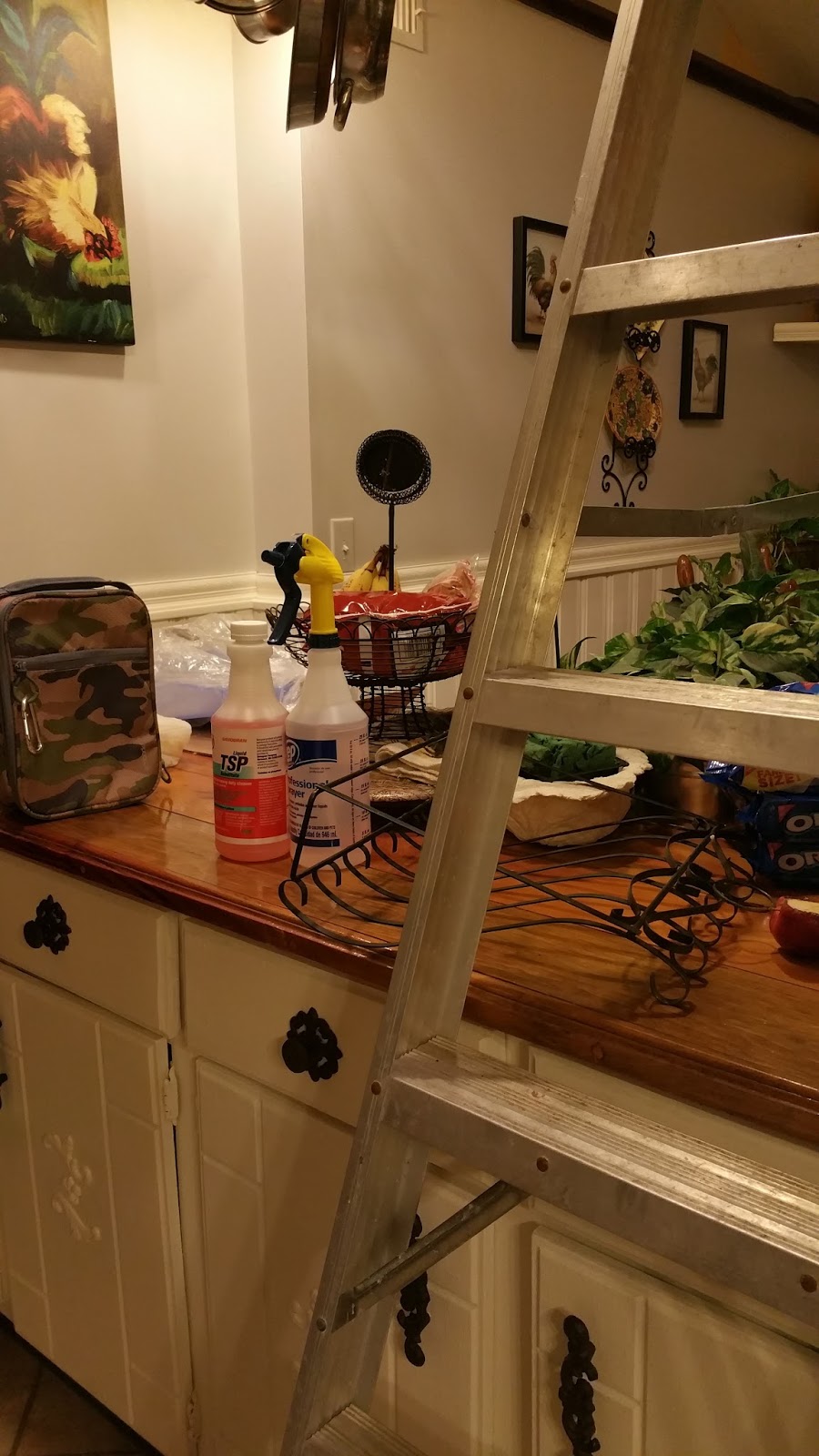 ORC: That Craigslist Kitchen Week 3 | Redo It Yourself Inspirations