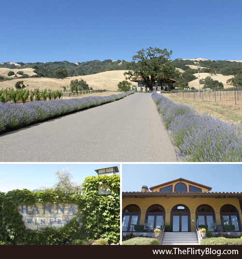 I Found The Place Formerly Flirty Blog A Return To Sonoma S Hanna Winery Tasting Room Vineyards