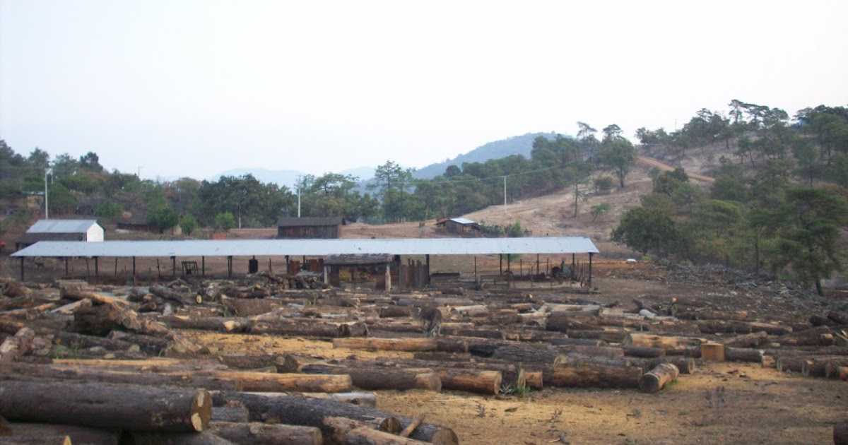 Coronilla Gro. Aserradero