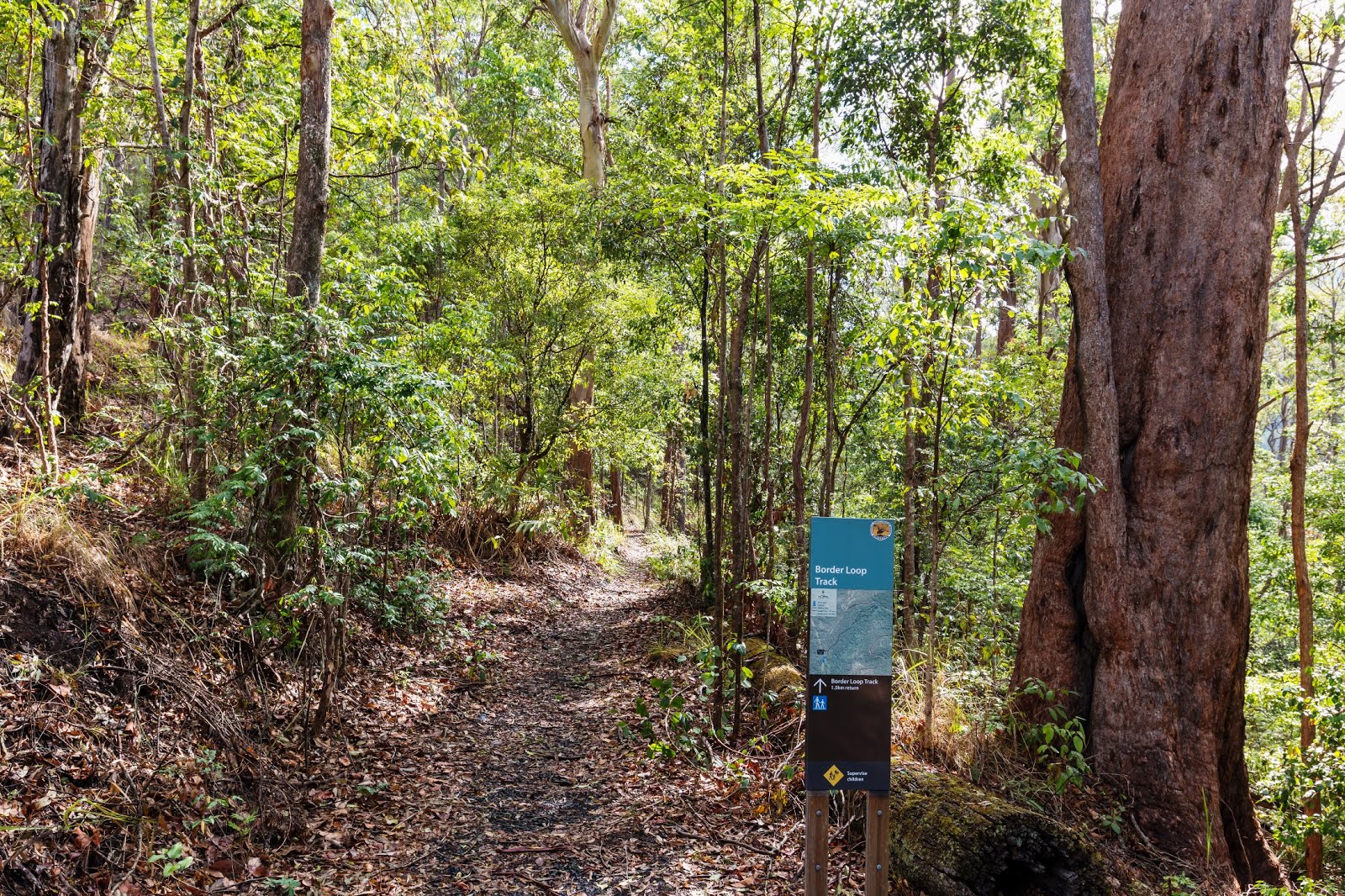 National Park Odyssey Lions Road and Border Loop Section of Border