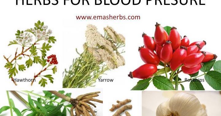 A Green Road Journal 7 Medicinal Ayurvedic Herbs That Lower Blood A Green Road Journal 7 Medicinal Ayurvedic Herbs That Lower Blood