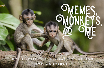 Memes, Monkeys, and Me: Photo Editing and Graphics Design for Amateurs