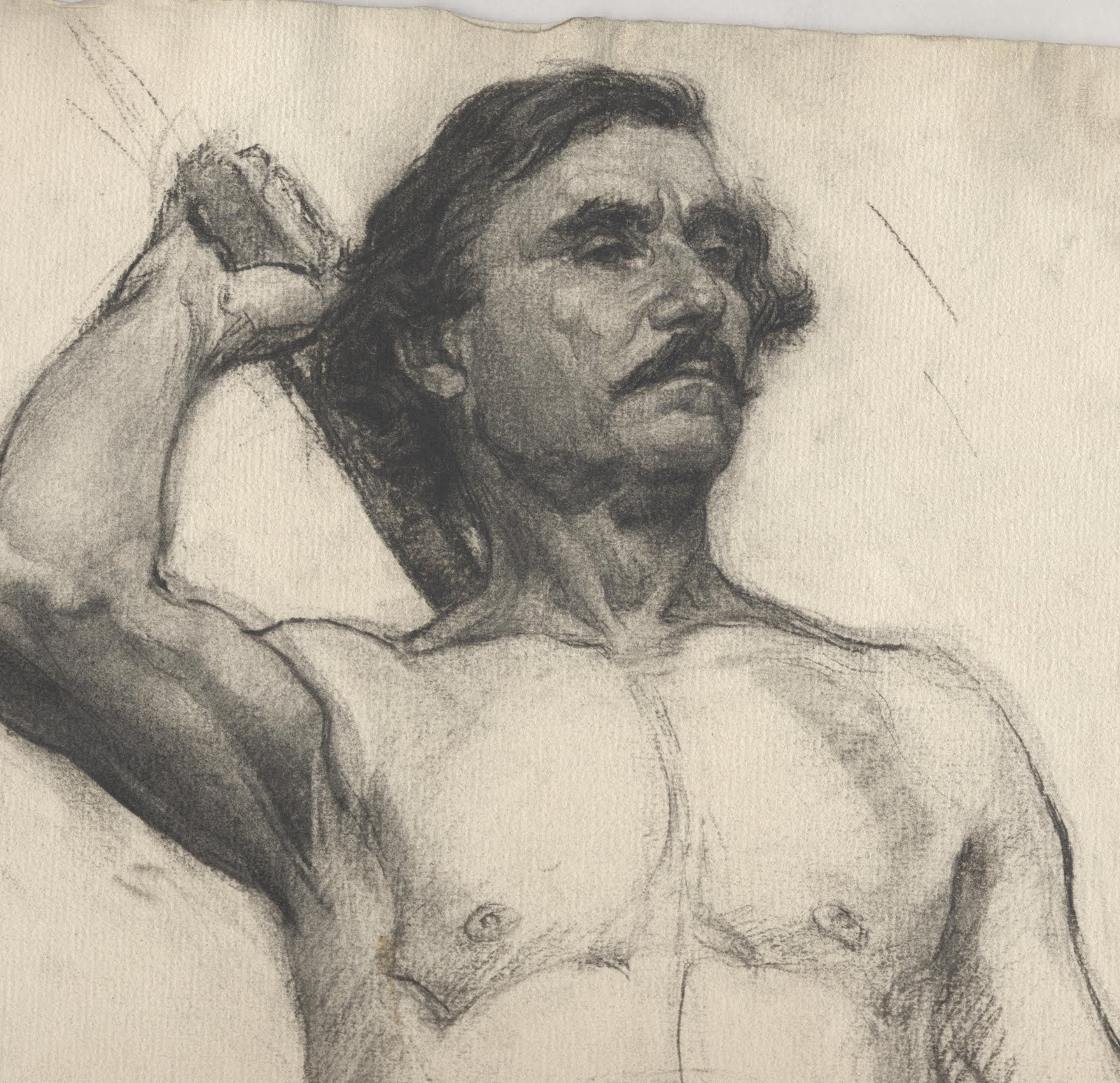 Celebrity Naked Human Figure Drawing Images