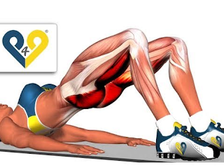 glute-hamstring-exercise