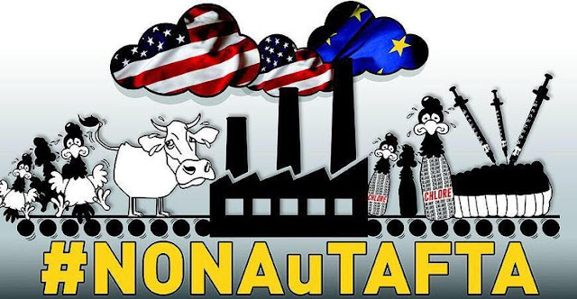 TAFTA : RAZ DE MARÉE AUX PAYS-BAS !!!