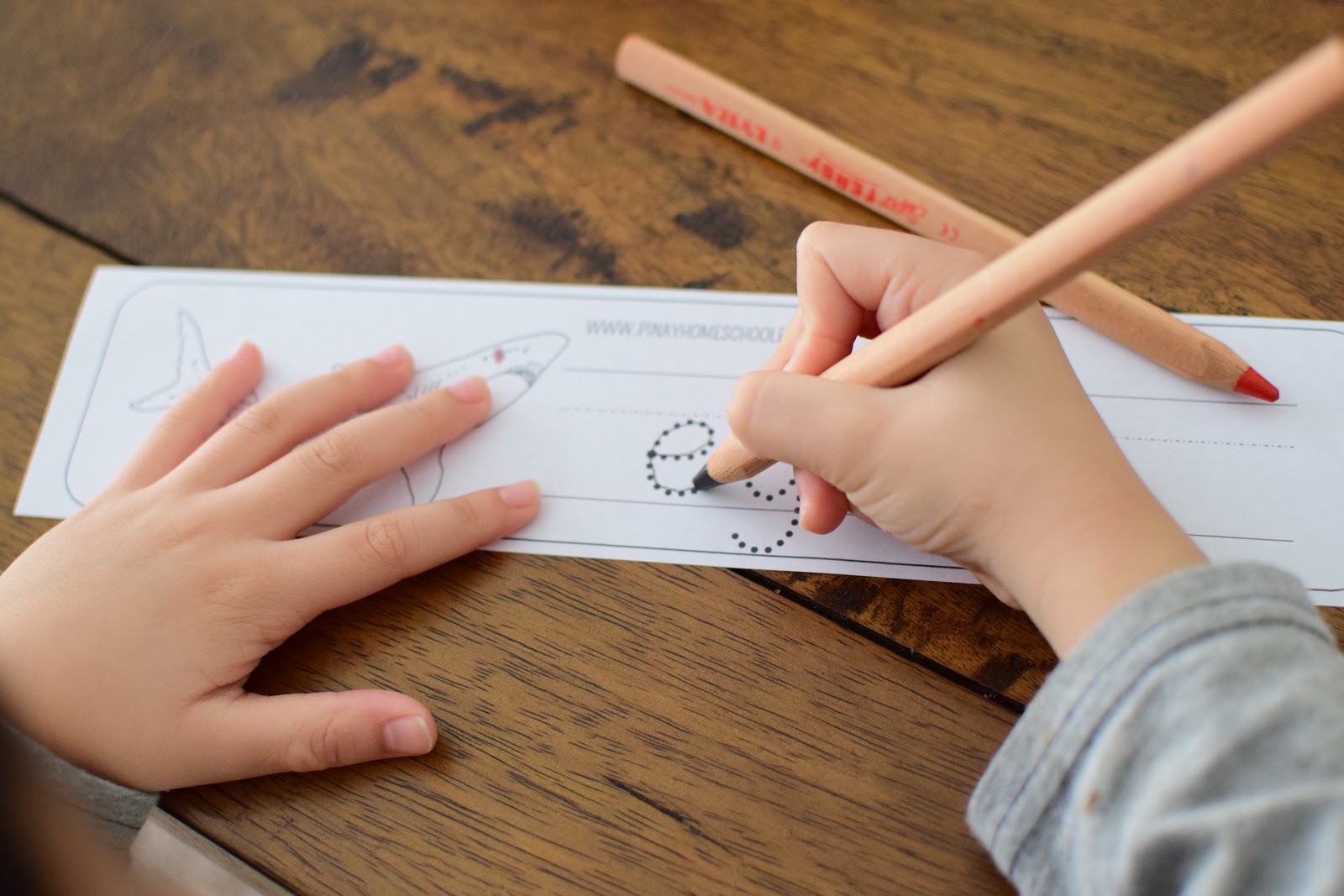 Learning About Sharks for Kids | The Pinay Homeschooler