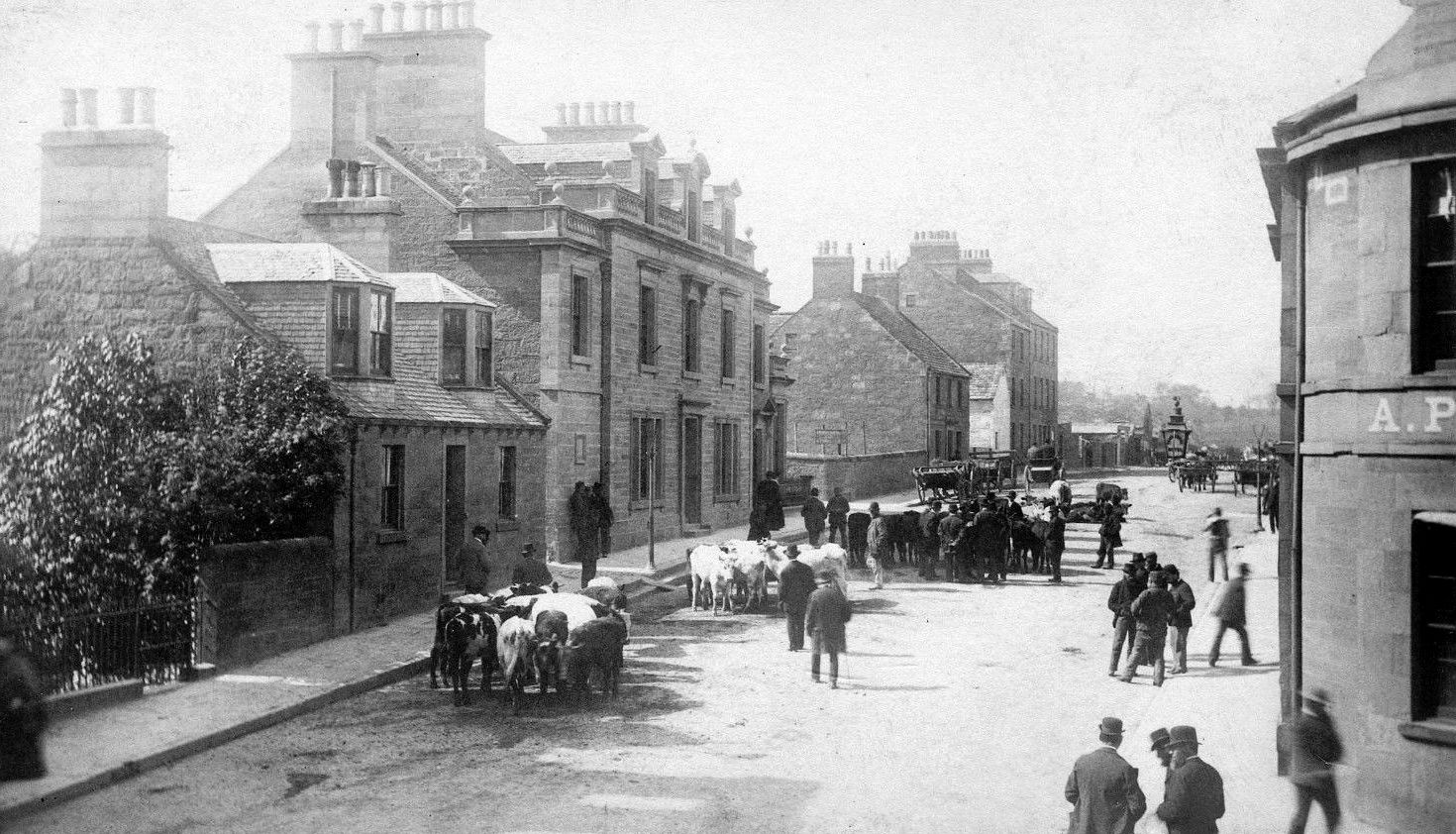 Tour Scotland Old Photograph Cattle Market Brechin Scotland