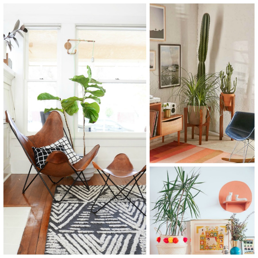 decoracion plantas interior 3