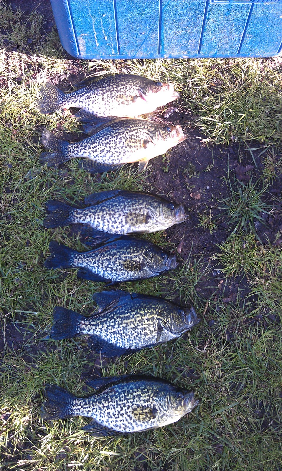 Extreme Philly Fishing Reports (Rob Z.) Fishing in South Jersey, NJ