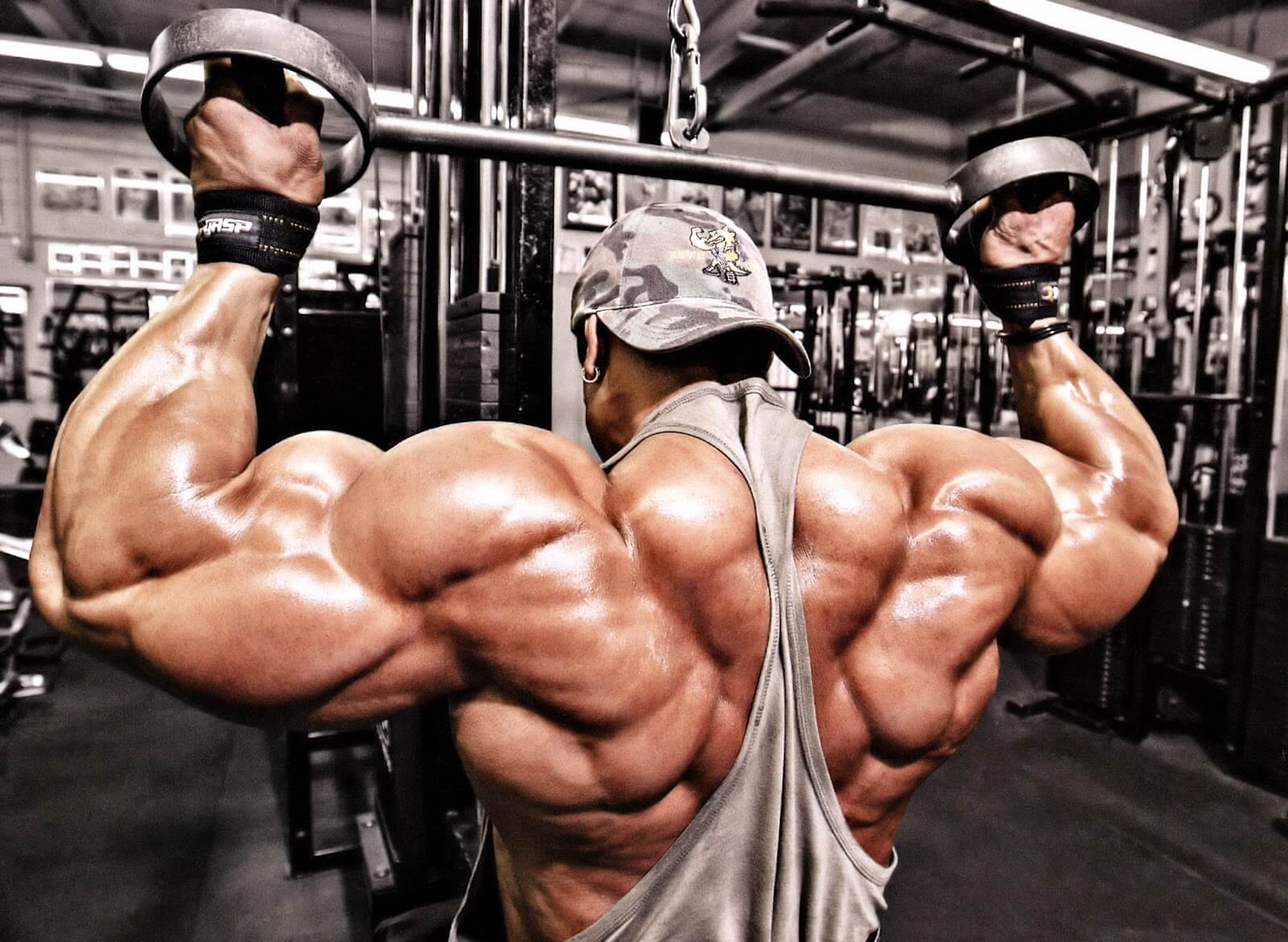 Prohormone Supplements World Bodybuilding