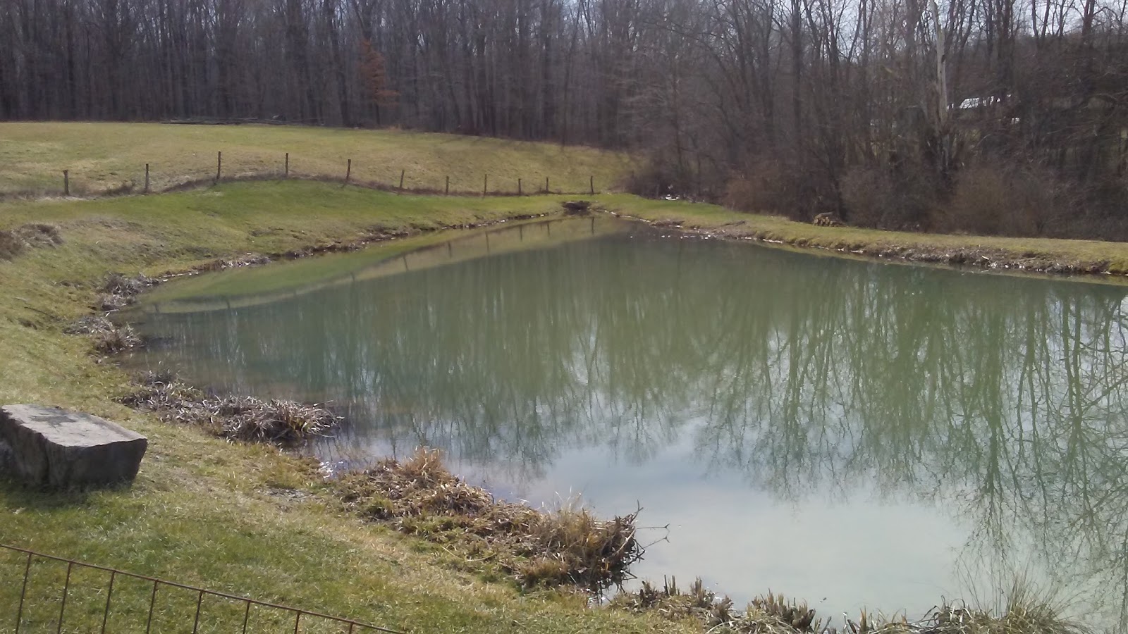 Valley Brook Farm Pond