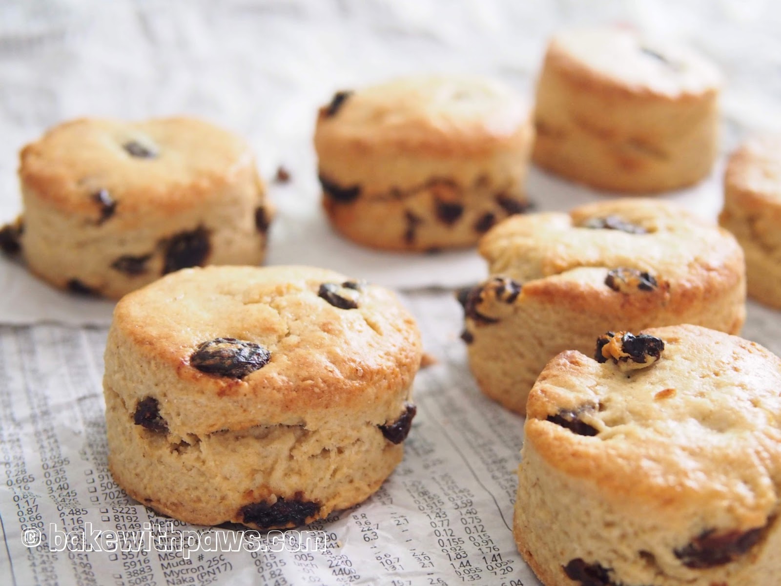 Oatmeal Buttermilk Scone BAKE WITH PAWS