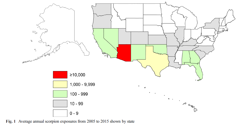 The Scorpion Files Newsblog: Scorpion exposures reported in the USA 