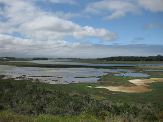 Elkhorn Slough, Elkhorn, California