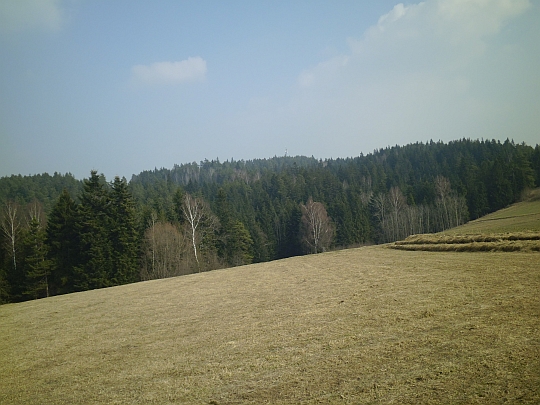 Ponad lasem widać maszt antenowy, stojący na szczycie Birtalowej (626 m n.p.m.)