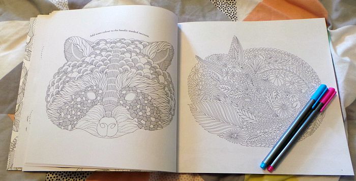 Animal Kingdom Colouring book