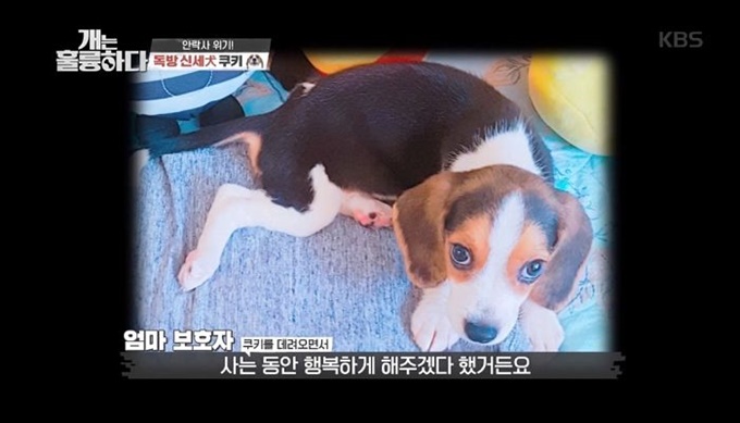 이미지에 대체텍스트 속성이 없습니다; 파일명은 k083sj84u18238al15lr.jpg 입니다.