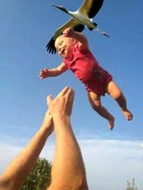 That's where babies come from...the stork!