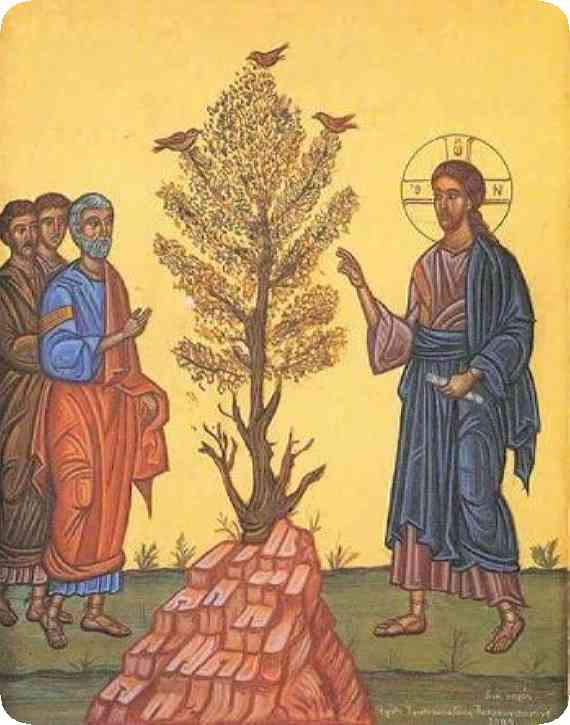 → Explicación y enseñanza de la parábola del grano de mostaza ▻ Religión  Católica Romana