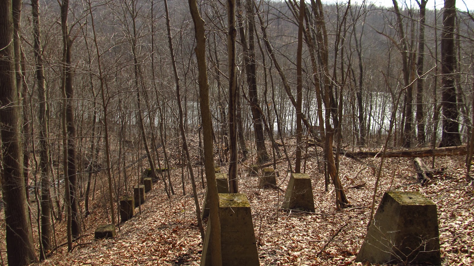 Old Industry of Southwestern Pennsylvania Coke Works Cheathaven/Lake