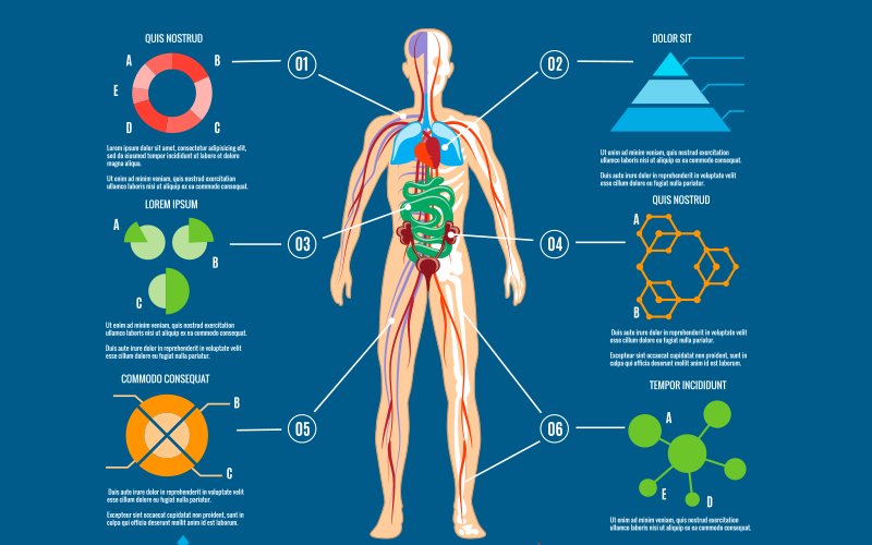 Maisfisio Cursos de Terapia Manual Choque Classificação