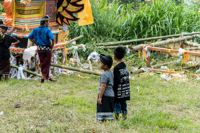 Crémation - Campagne Jatiluwih - Bali