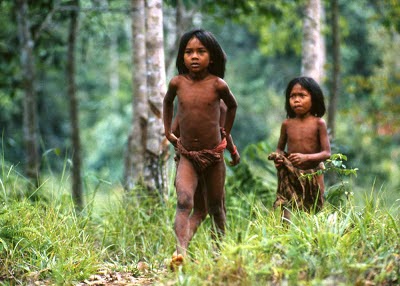 gambar suku kubu