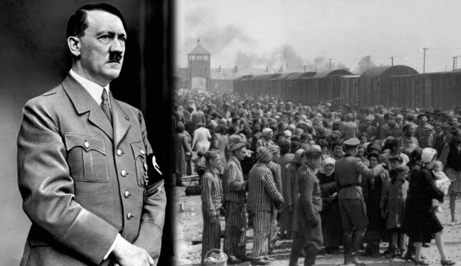 Yahudi hitler bunuh Alasan Hitler