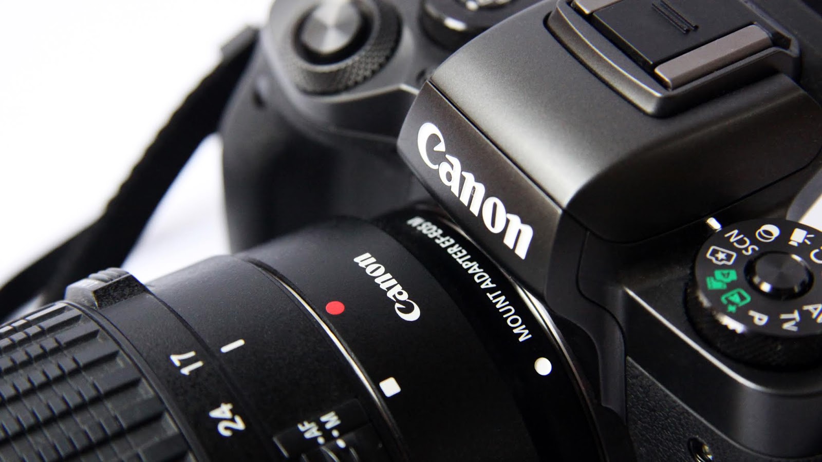 top 7 canon cameras Deal USA