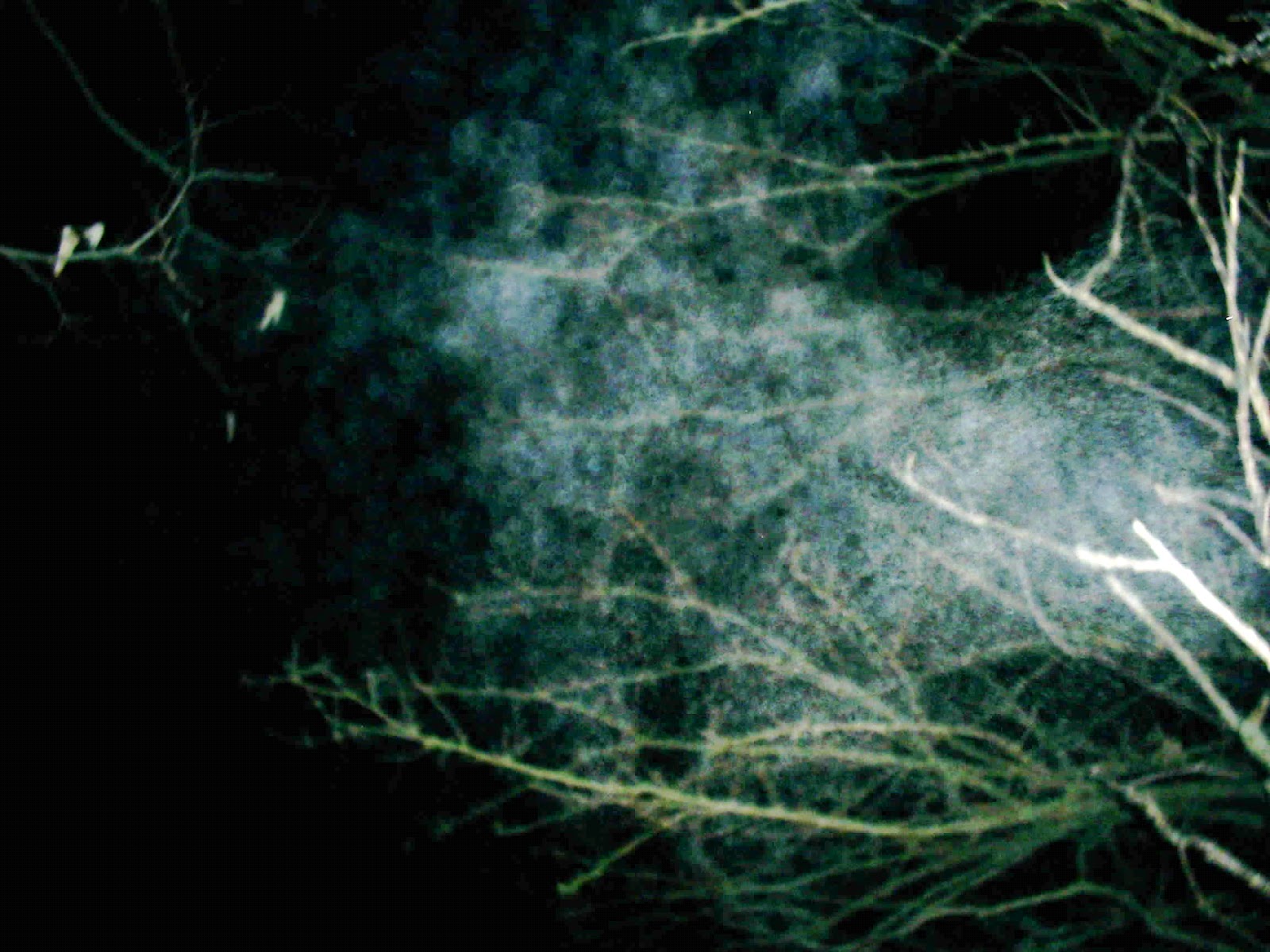 Cee's Ghost Hunting Paranormal: Skiddy Kansas Investigation