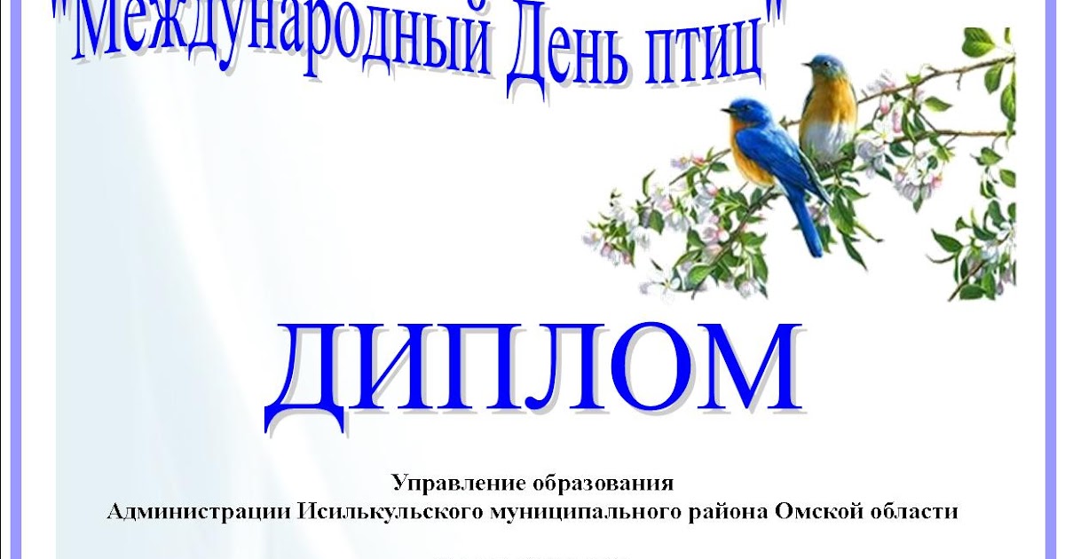 грамота день птиц. грамота день птиц. красивая рамка с птичками. диплом с птицами. рамка для грамоты птицы.