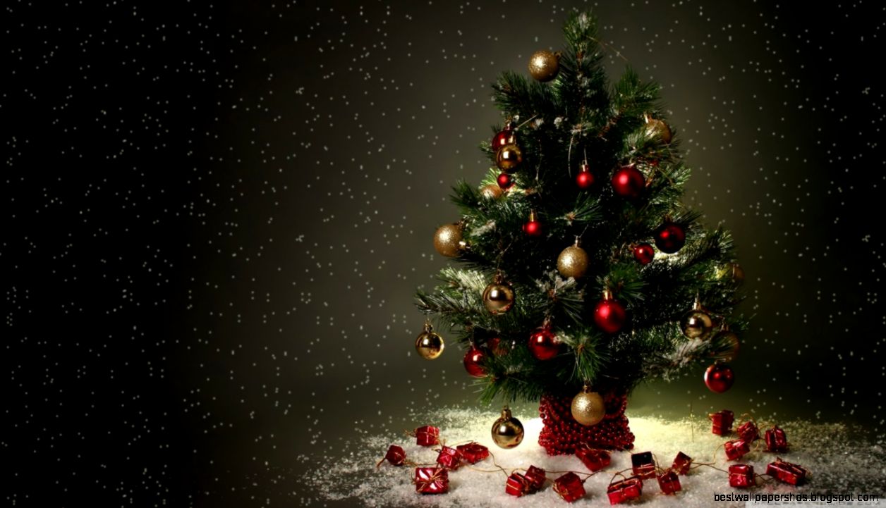 Small Christmas Tree HD desktop wallpaper  High Definition
