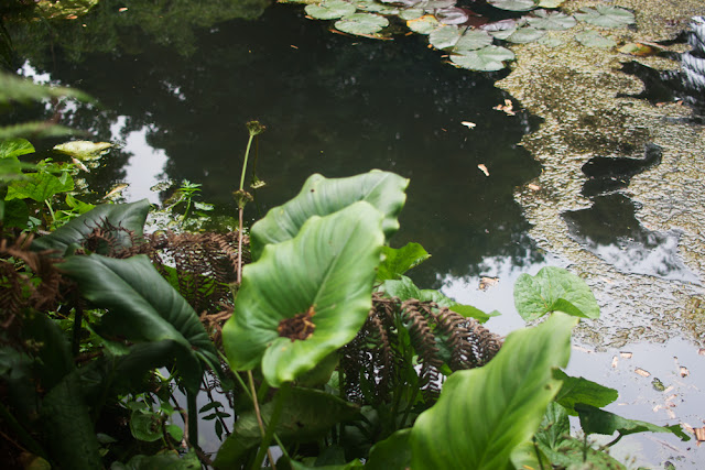 The Lost Gardens of Heligan