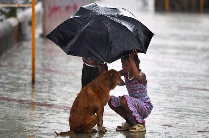 15 Beautiful Pictures Of True Love And Affection That Melted Our Hearts