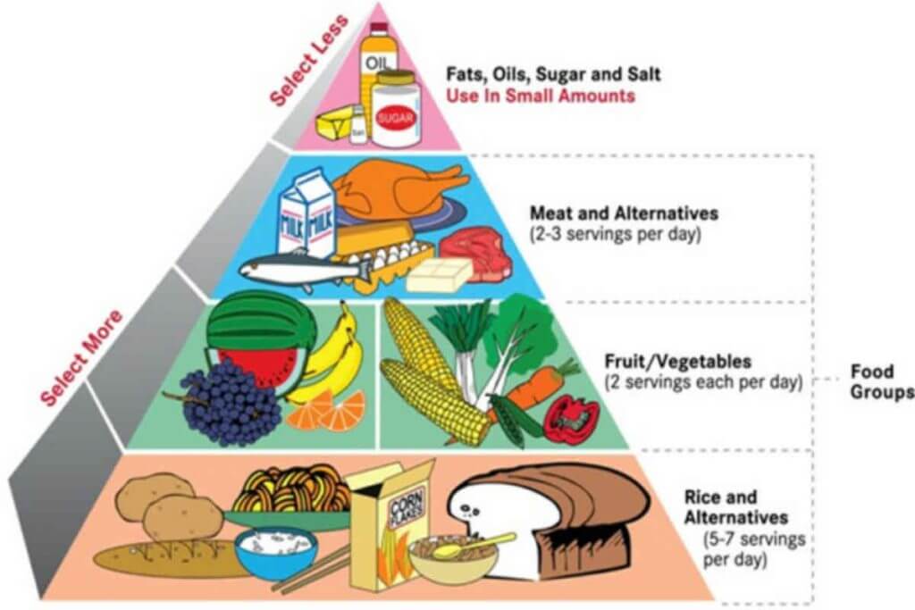 Facts Fiction And Diet Chart For Weight Gain facts-fiction-and-diet-chart-for-weight-gain