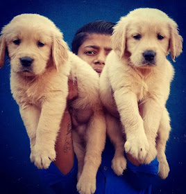 dog breeders in ahmedabad