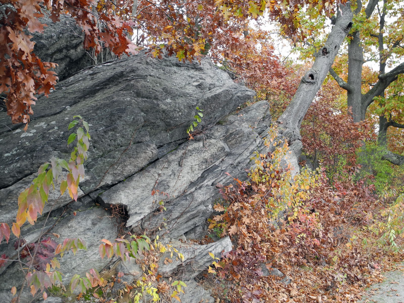 Written In Stone...seen through my lens Architectural Geology of Boston The Roxbury