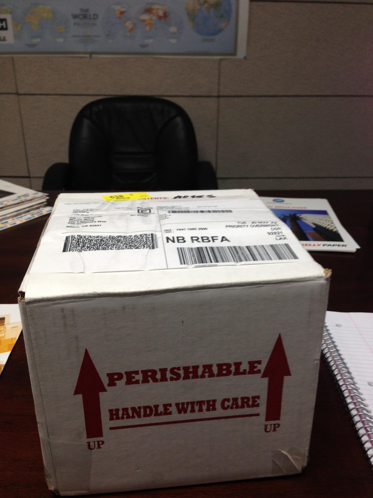 captive-bred-high-yellow-water-monitor-vital-exotics-reptile-guru-line