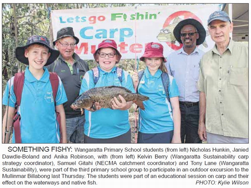 Wangaratta Sustainabililty Network WANGARATTA SUSTAINABILITY NETWORK