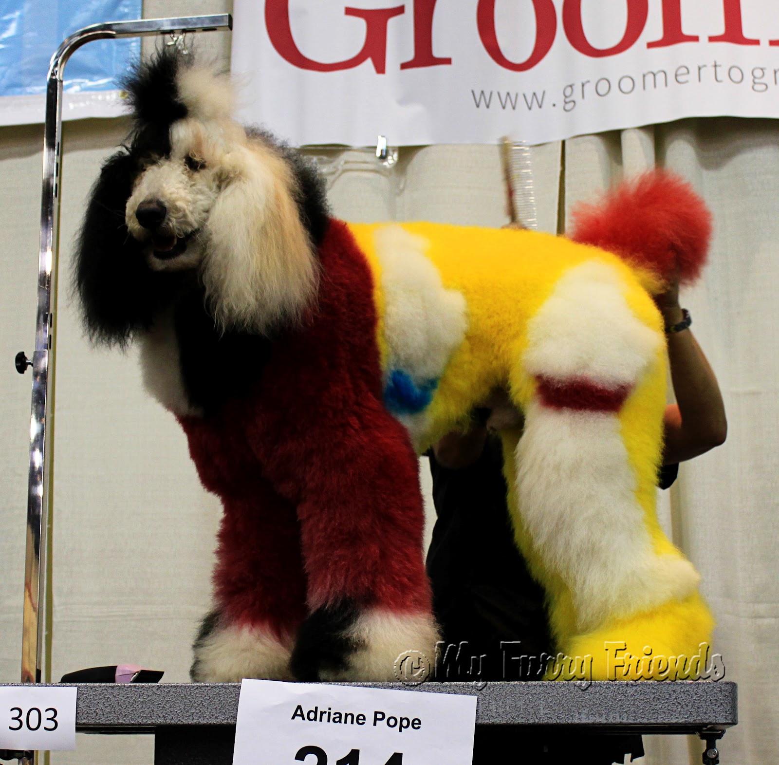 Pet Grooming The Good, The Bad, & The Furry Hershey Creative Grooming Pictures!