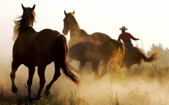 Caballos en los sueños Caballos en los sueños