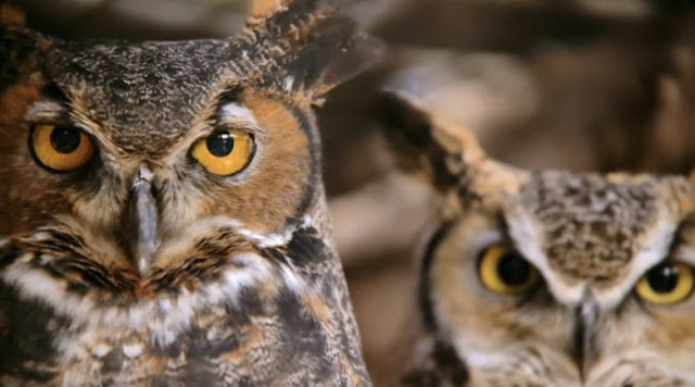 Shot on iPhone XS — Don’t mess with Mother