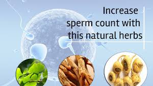 Sperm Count and Fertility Booster For Men in Ghana