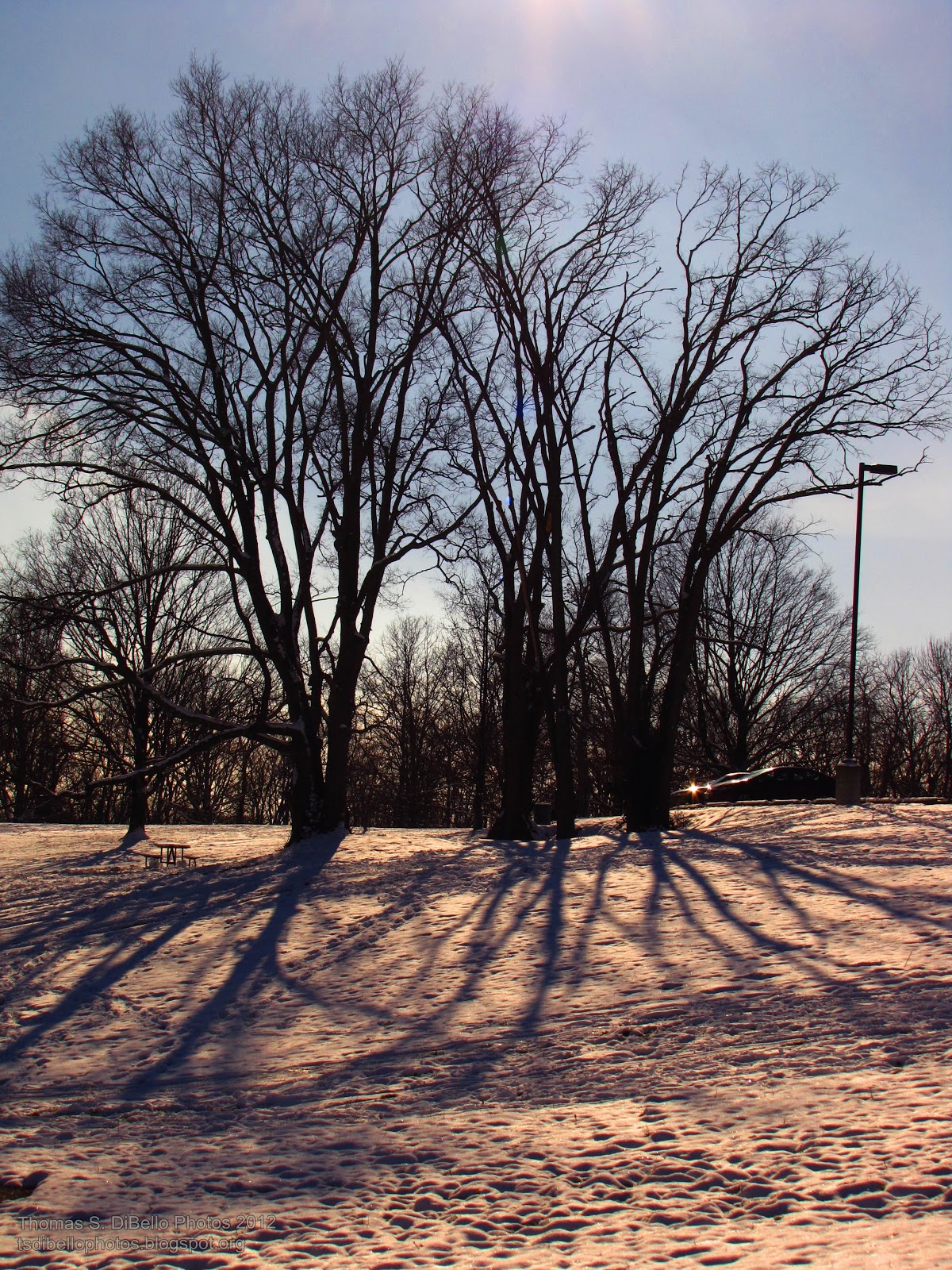 Portraits of Covington Snow!